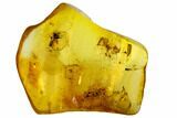 Three Fossil Flies (Diptera) In Baltic Amber #109426-4